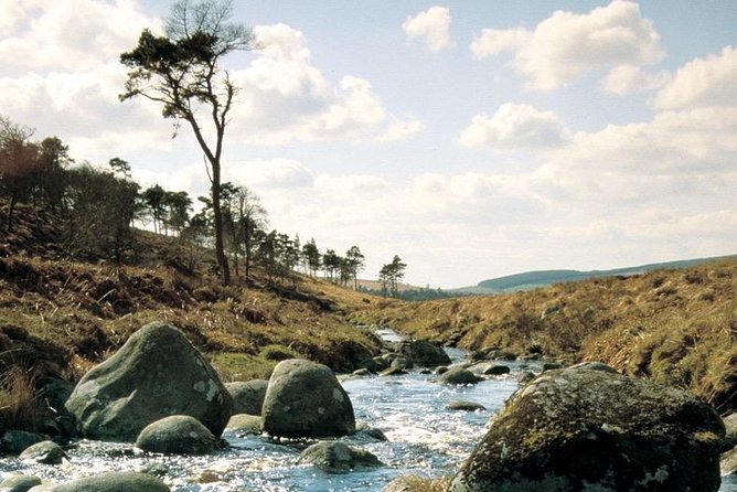 The Original Award Winning Wild Wicklow Tour Incl. Glendalough - Whiskey Tasting and Dublin Bay