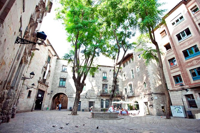 Barcelona Old Town and Gothic Quarter Walking Tour - Accessibility Details