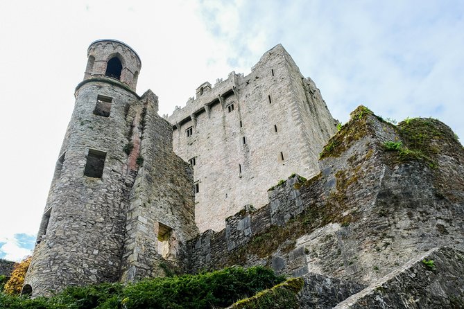 Blarney, Rock of Cashel & Cahir Castles Day Tour From Dublin - Recap