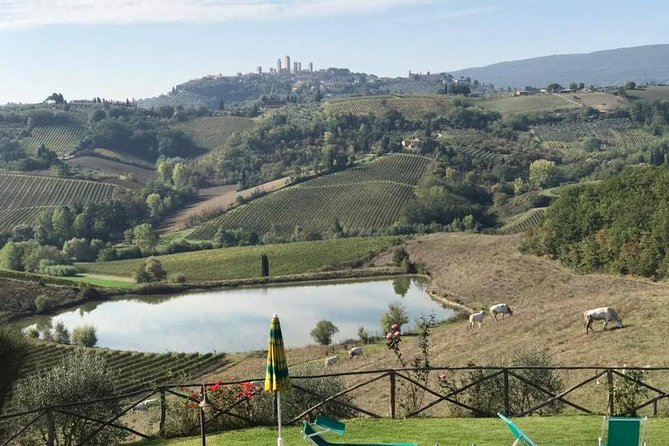 Chianti Wineries Tour With Tuscan Lunch and San Gimignano - Recap