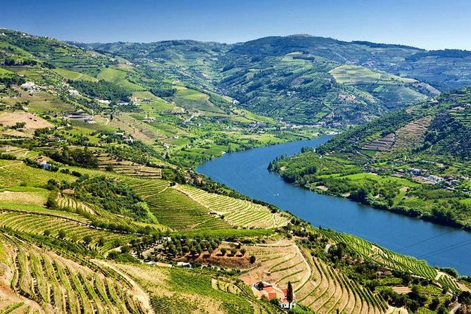 Complete Douro Valley Wine Tour With Lunch, Wine Tastings and River Cruise - Itinerary Highlights