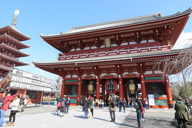 Explore Traditional Tokyo in a Day by Private Car - English-speaking Driver Provided