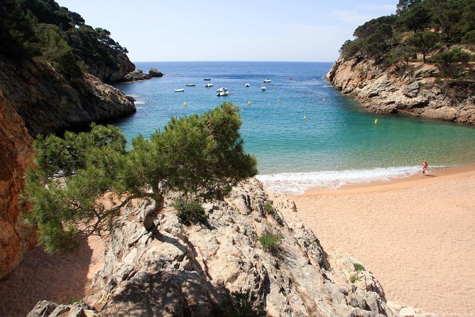 Girona & Costa Brava Small-Group Tour With Pickup From Barcelona - Frequently Asked Questions