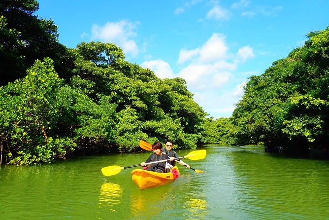 [Ishigaki] Mangrove SUP/Canoe Tour - Medical Considerations