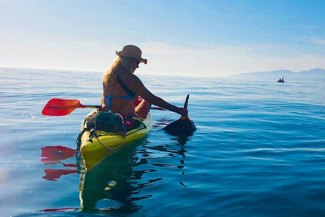 Kayak & Snorkel Tour in Cerro Gordo Natural Park, La Herradura - Traveler Reviews and Testimonials
