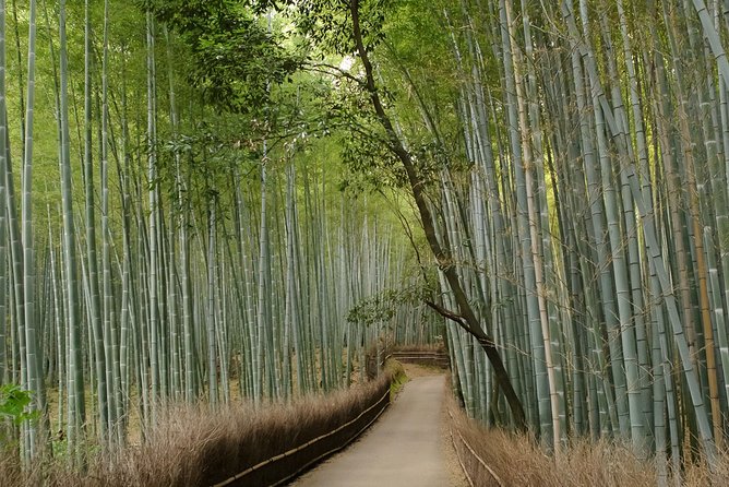 Kyoto Bamboo Forest Electric Bike Tour - Cancellation and Refund Policy