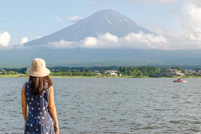 Mt Fuji Day Trip With Private English Speaking Driver - Pricing and Surcharges