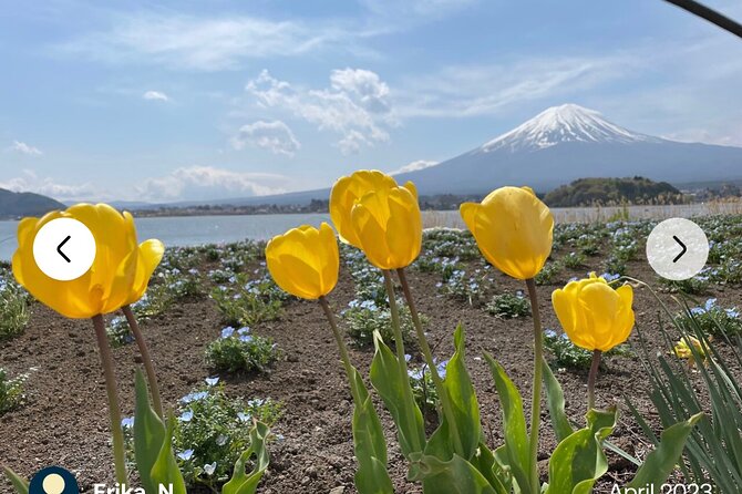 Mt. Fuji, Hakone Full-Day Private Tour With English Driver Guide - Highlights: Lake Kawaguchiko