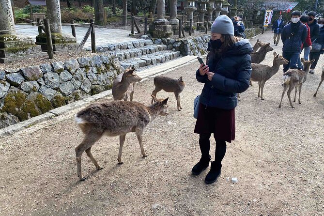 Nara Full-Day Private Tour With Government-Licensed Guide - Customizing Your Tour