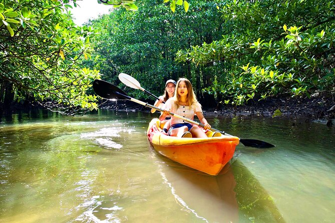 [Okinawa Iriomote] Sup/Canoe Tour in a World Heritage - Safety and Equipment Provided