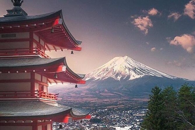 Private Sightseeing to Mt Fuji and Hakone Guide - Customer Reviews and Ratings