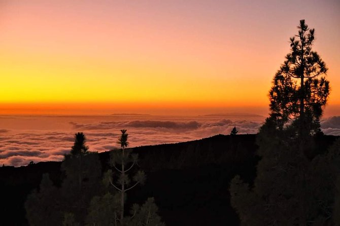 Teide National Park Sunset & Stargazing With Dinner (Star Safari) - Practical Information
