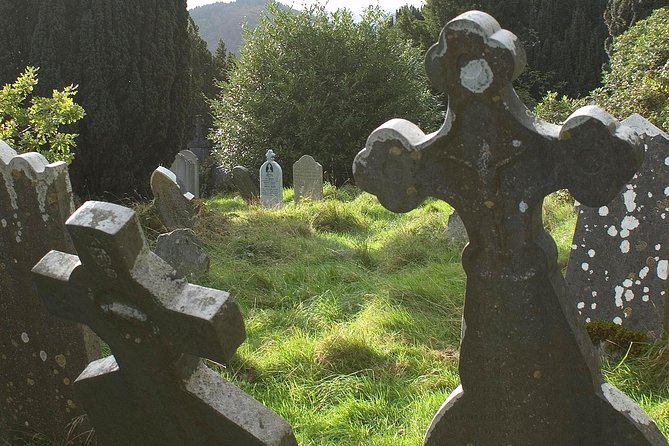 The Original Award Winning Wild Wicklow Tour Incl. Glendalough - Visitor Reviews and Testimonials