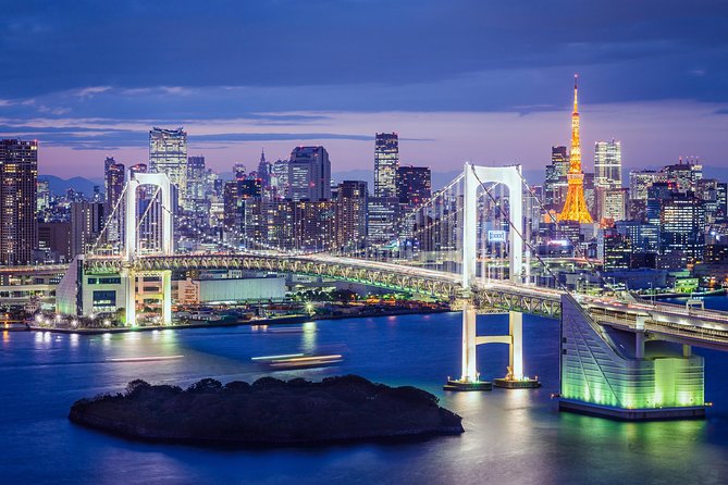 Tokyo Private Sightseeing Tour by English Speaking Chauffeur - Sightseeing Destinations