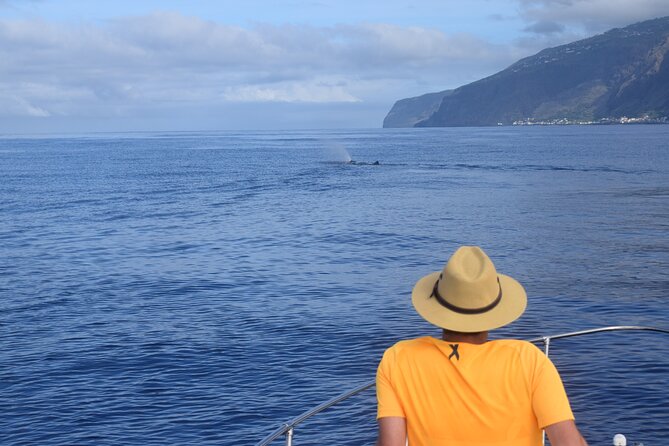 Whale and Dolphin Watching Tour in Madeira - Frequently Asked Questions
