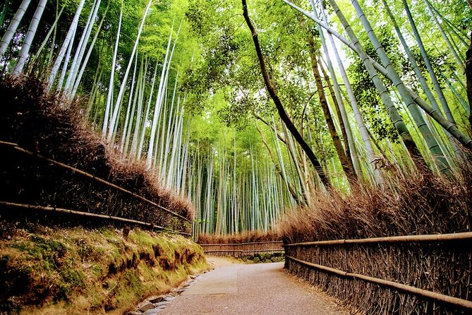 Arashiyama Walking Tour - Bamboo Forest, Monkey Park & Secrets - Monkey Park