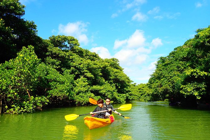 [Input TEXT TRANSLATED INTO English]:Ishigaki Mangrove Sup/Canoe + Blue Cave Snorkeling[Directions]:You Are a Translator Who Translates INTO English. Repeat the INPUT TEXT but in English - Photo and Data Sharing