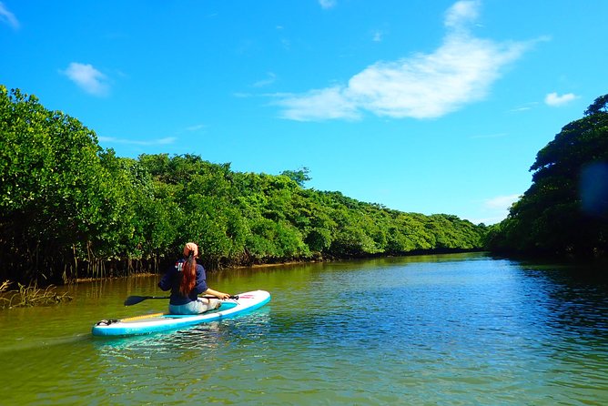 [Ishigaki] Mangrove SUP/Canoe Tour - Group Size