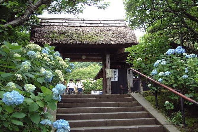 Kamakura 8 Hr Private Walking Tour With Licensed Guide From Tokyo - Cancellation and Accessibility