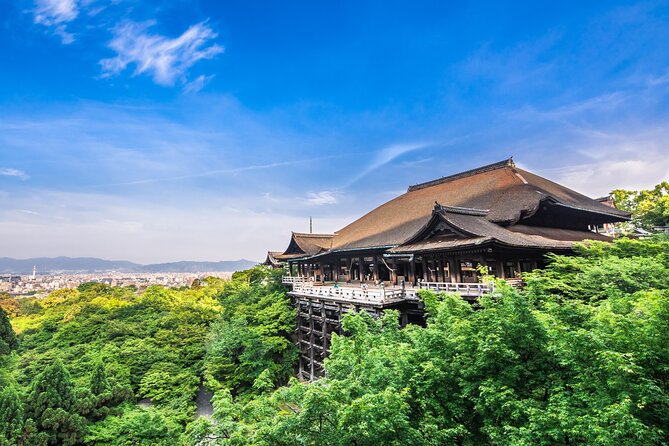 Kyoto Private 6 Hour Tour: English Speaking Driver Only, No Guide - Private Transportation