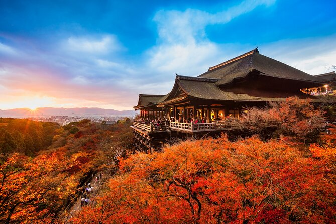 Kyoto Top Highlights Full-Day Trip From Osaka/Kyoto - Cancellation Policy