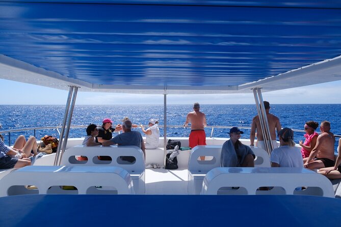 Madeira Dolphin and Whale Watching on a Ecological Catamaran - Additional Information