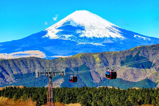 Mt Fuji and Hakone 1-Day Bus Tour Return by Bus - Additional Information