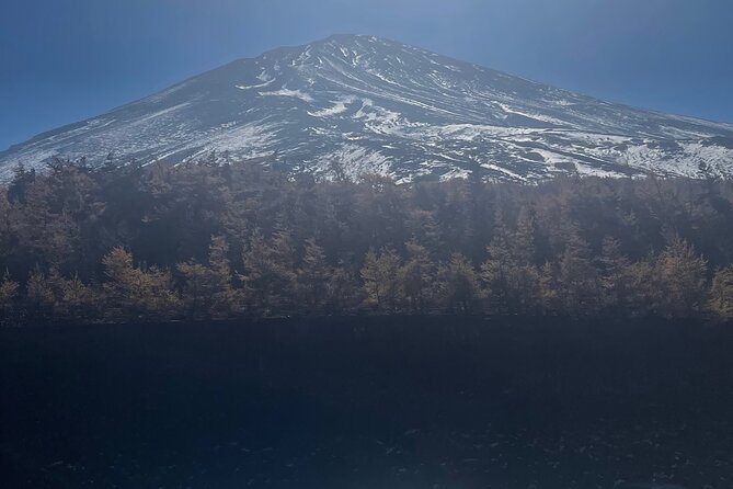 Mt. Fuji Private Tour With English Speaking Driver - Pricing