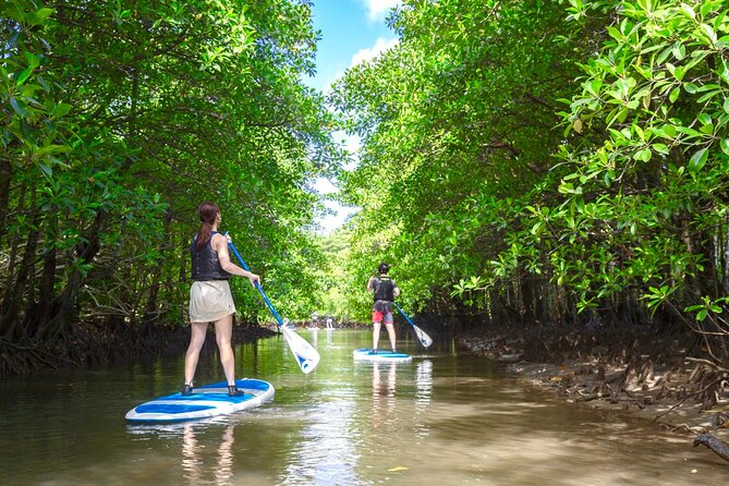 [Okinawa Iriomote] Sup/Canoe Tour in a World Heritage - Capturing Memorable Moments