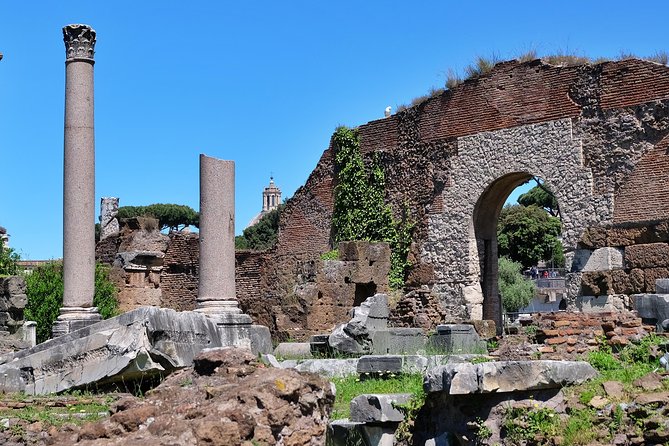 Rome: Colosseum, Palatine Hill and Roman Forum Tour - Recap
