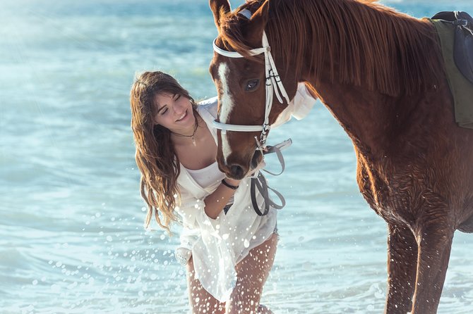 Santorini Horse Riding to Black Sandy Beach - Rave Reviews and Testimonials