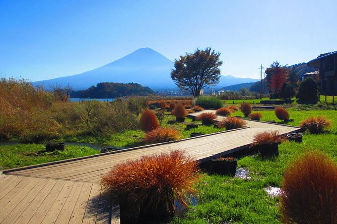 Scenic Spots of Mt Fuji and Lake Kawaguchi 1 Day Bus Tour - Tour Logistics and Additional Details