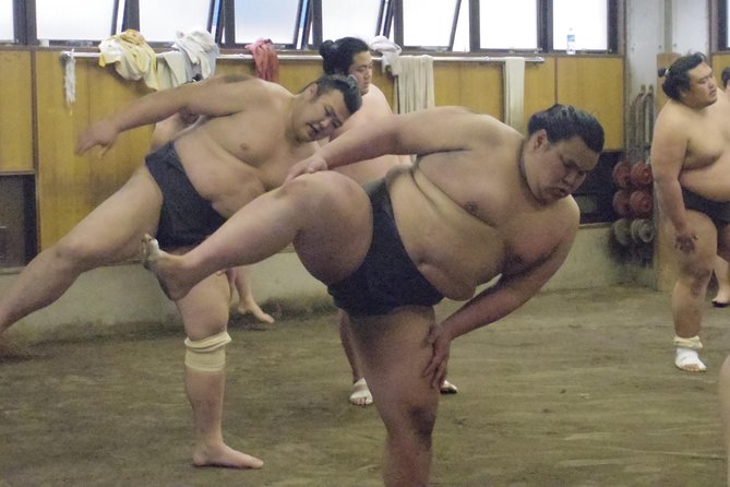 Tokyo Sumo Morning Practice Tour at Stable - Important Notes for Participants