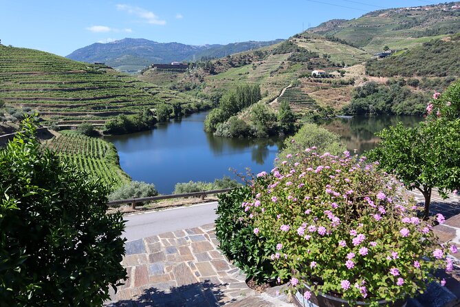 Authentic Douro Wine Tour Including Lunch and River Cruise - Traveler Reviews