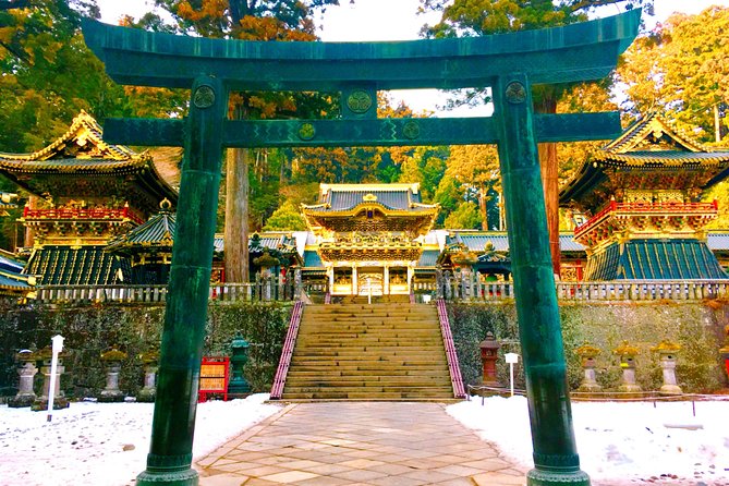 Chartered Private Tour - Tokyo to Nikko, Toshogu, Edo Wonderland - Language Support