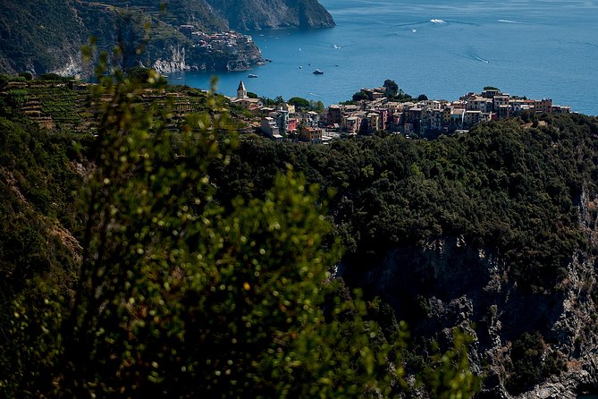 Cinque Terre Day Trip From Florence With Optional Hiking - Booking and Contact Information