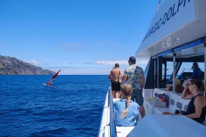 Madeira Dolphin and Whale Watching on a Ecological Catamaran - Customer Reviews