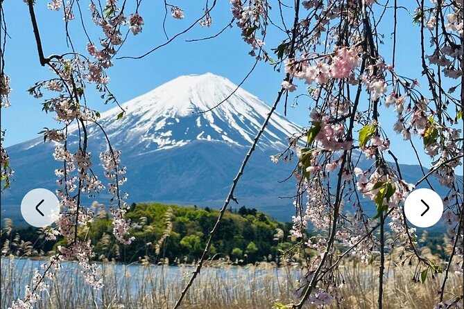 Mt. Fuji, Hakone Full-Day Private Tour With English Driver Guide - Highlights: Oshino Hakkai