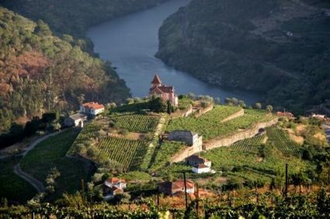 Authentic Douro Wine Tour Including Lunch and River Cruise - Key Points