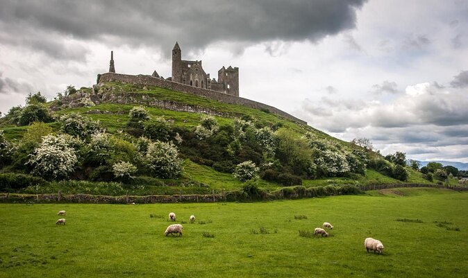 Blarney Castle Day Tour From Dublin Including Rock of Cashel & Cork City - Key Points