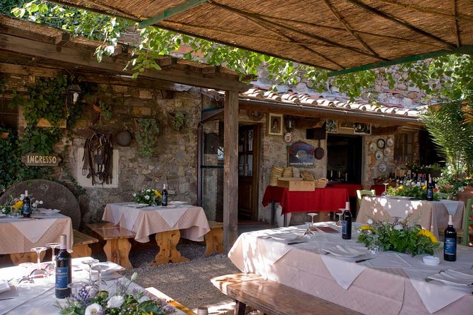 Chianti Safari: Tuscan Villas With Vineyards, Cheese, Wine & Lunch From Florence - Key Points