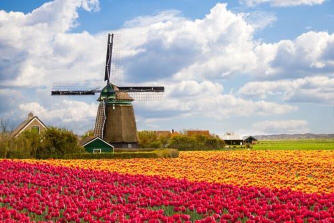 Giethoorn, Afsluitdijk, Zaanse Schans Day Tour Mini VIP Bus Incl. Hotel Pick Up - Key Points