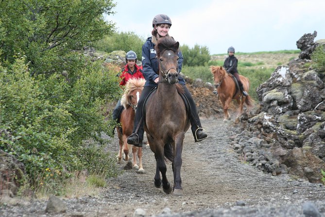 Icelandic Horseback Riding Tour From Reykjavik - Key Points