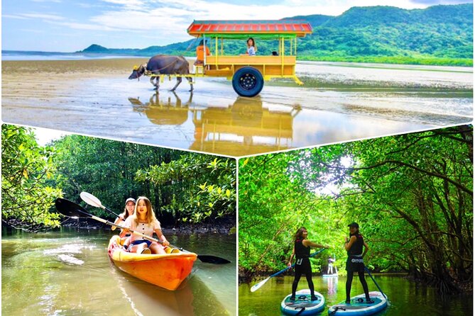 [Iriomote]Sup/Canoe Tour + Sightseeing in Yubujima Island - Key Points