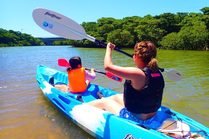 [Ishigaki] Mangrove SUP/Canoe Tour - Key Points