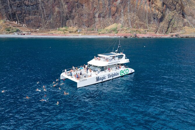 Madeira Dolphin and Whale Watching on a Ecological Catamaran - Key Points