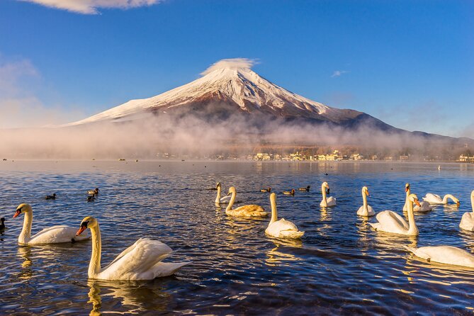 Mount Fuji Private Tour by Car - English Speaking Driver - Key Points