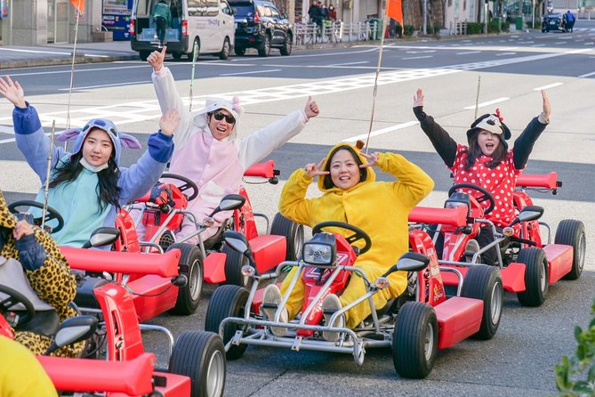 Street Osaka Gokart Tour With Funny Costume Rental - Just The Basics