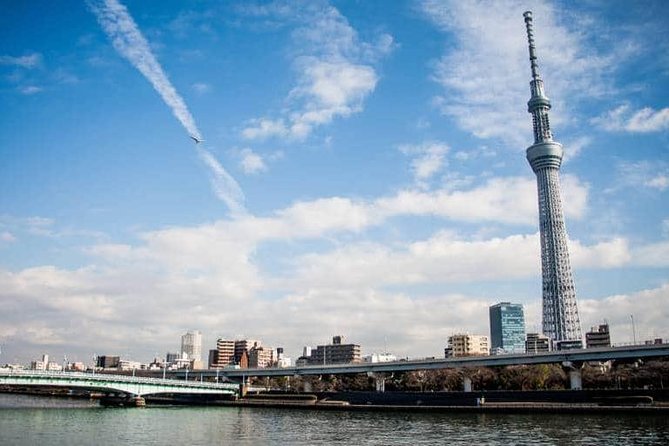 1 Day Charter Tour for Tokyo Sightseeing - Key Points