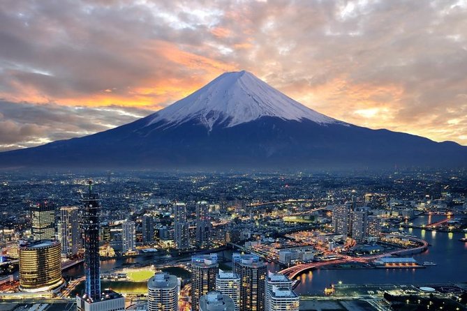 1 Day Charter Tour to Mt Fuji View - Key Points